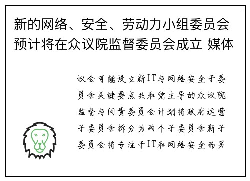 新的网络、安全、劳动力小组委员会预计将在众议院监督委员会成立 媒体